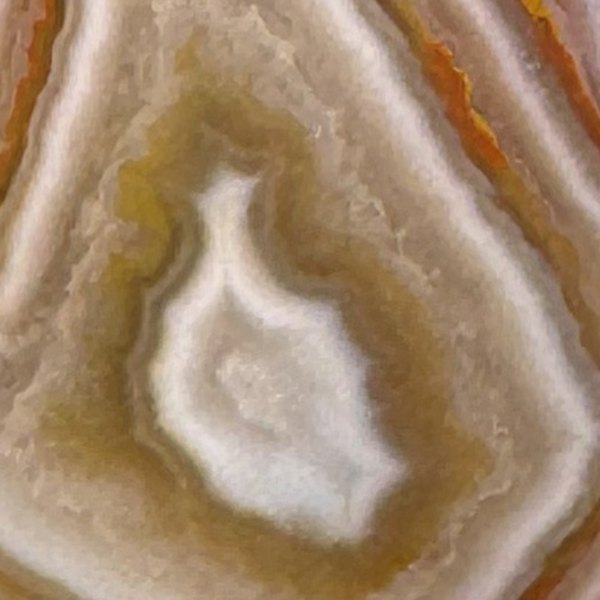 A close-up of the same agate's banding around its white center