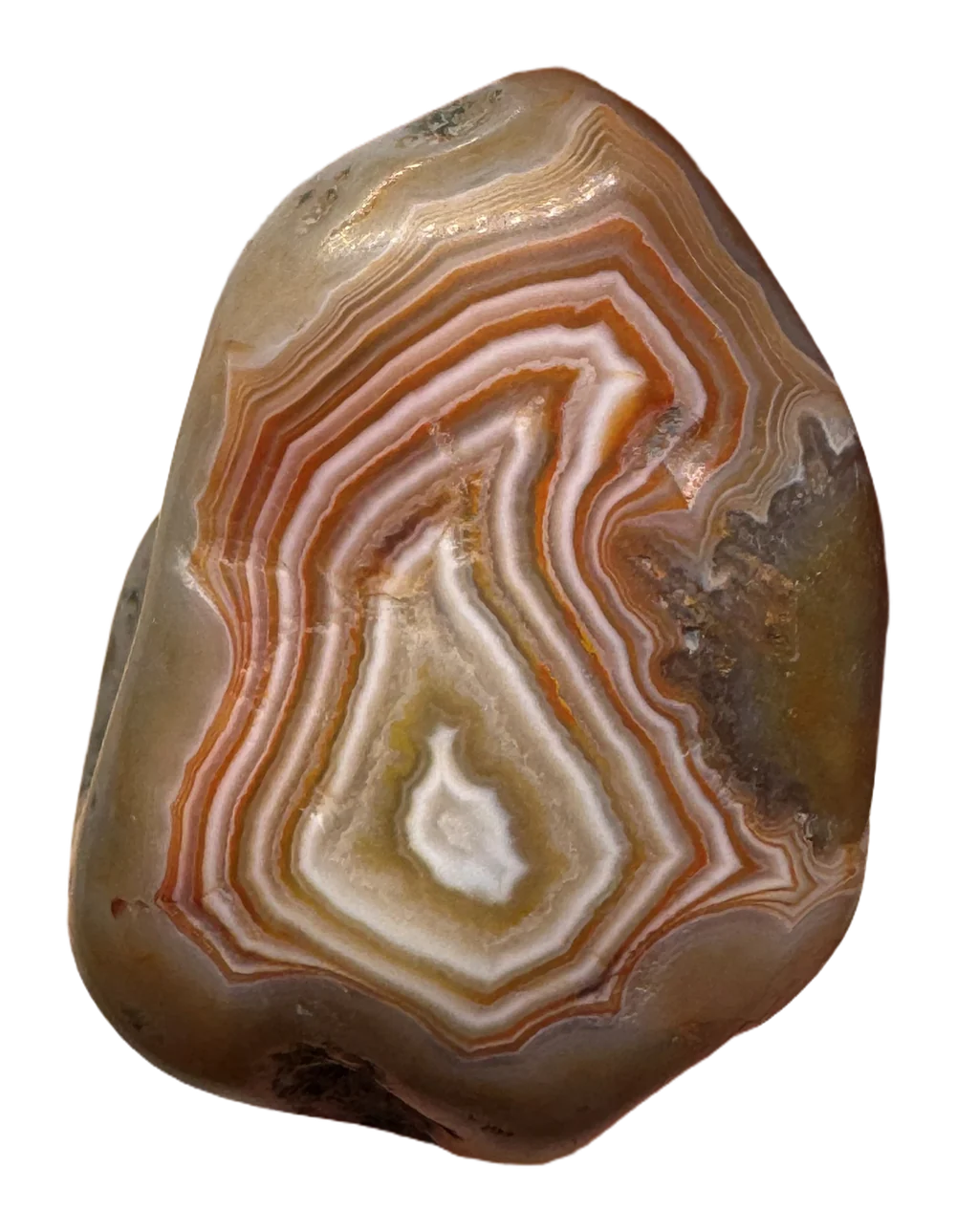 A banded Lake Superior agate with a white center