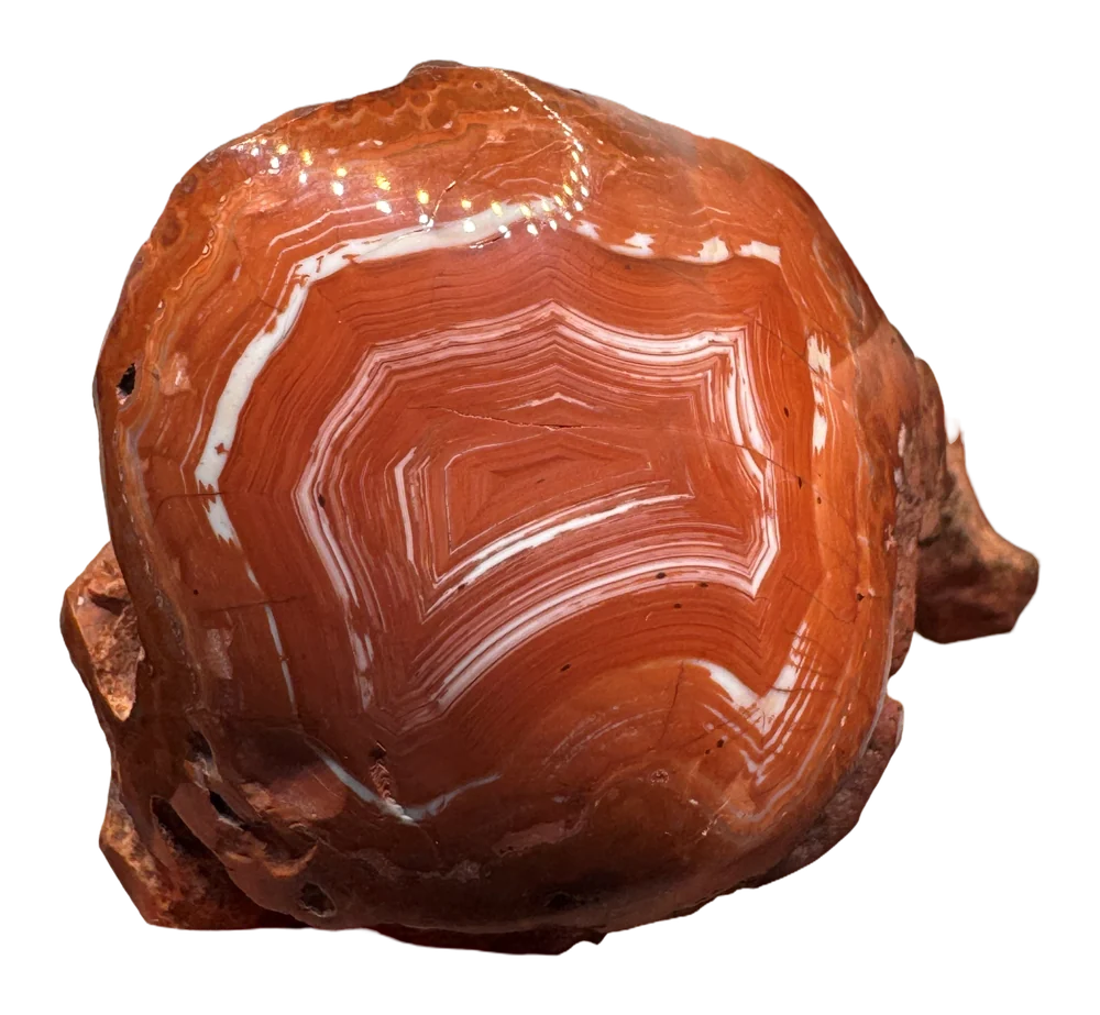 A deep red Lake Superior agate with white fortification bands